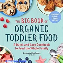 The Big Book of Organic Toddler Food