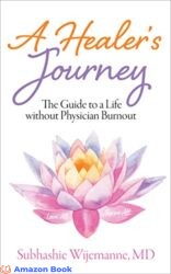 A Healer s Journey The Guide to a Life without Physician Burnout