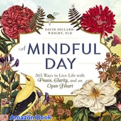 A Mindful Day 365 Ways to Live Life with Peace Clarity and an Open Heart