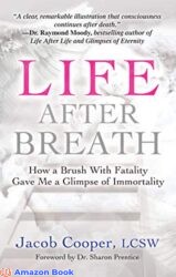 Life After Breath How a Brush with Fatality Gave Me a Glimpse of Immortality