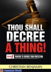 Thou Shall Decree a thing (Volume 1) Prayers to enforce your Protection