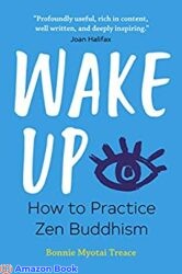 Wake Up How to Practice Zen Buddhism