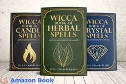 Wicca Spellbook Starter Kit A Book of Candle Crystal and Herbal Spells (Wicca Starter Kit Series)