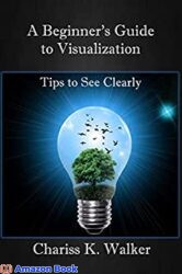 A Beginner's Guide to Visualization Tips to See Clearly (A Beginner's Personal Growth Series Book 1)
