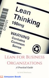Lean for Business Organizations A Practical Guide