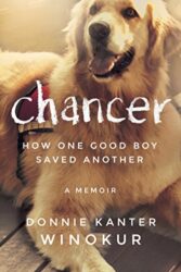 Chancer How One Good Boy Saved Another