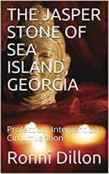 THE JASPER STONE OF SEA ISLAND, GEORGIA Protection, Intervention, Circumvention (The Jasper Stone Series)