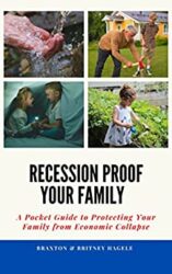 Recession Proof Your Family A Pocket Guide to Protecting Your Family from Economic Collapse