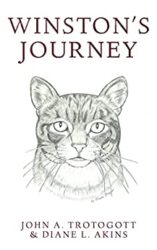 Winston's Journey