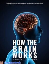 How The Human Brain Works Discover How The Human Brain The Built